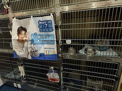 -佩兹宠物医院肿瘤专科·眼科·牙科(黄浦店)