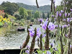 -梧桐山风景名胜区