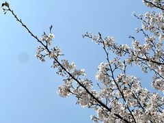-堤角公园
