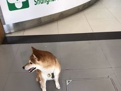 -爱侣宠医·鹦鹉专科·小型哺乳类·异宠专科(灵石路店)