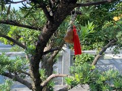 -阿育王寺