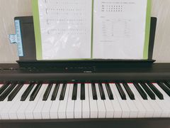 -歌斐木钢琴工作室