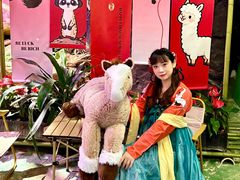 -正佳雨林生态植物园