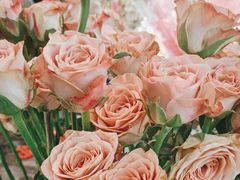 -桔梗花店·鲜花·气球布置(天元店)