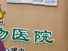 -半岛宠物医院24小时·内窥镜·牙科·碎石中心(府城大道店)