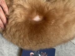 -萌兽医馆·犬猫专科·眼科中心·宠物医院(朝阳门分院)
