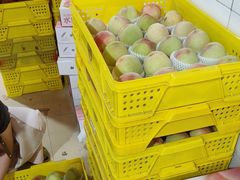 -老袁家蜜桃农场·阳山水蜜桃