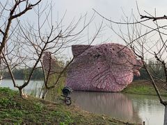 -乌村