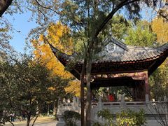 -汇龙潭