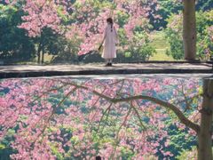 -风云岭森林公园