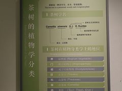 -中国茶叶博物馆(双峰馆区)