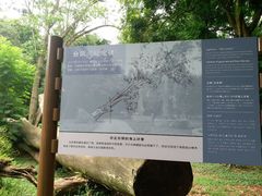 -南宁良凤江国家森林公园