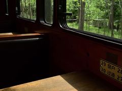 -合肥滨湖国家森林公园