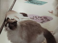 -中海环宇荟
