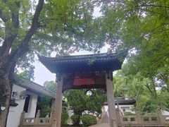 -汇龙潭