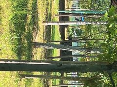 -秦皇岛野生动物园