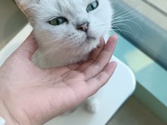 -怪兽屋·羊驼·猫咖·狗咖(俊华广场店)