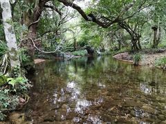 -海南热带雨林国家公园吊罗山景区