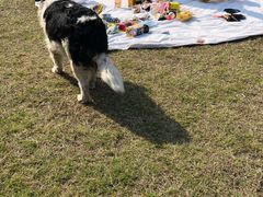 -维也纳国际酒店·江苏苏州火车站北广场店