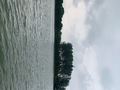 -白洋淀风景区