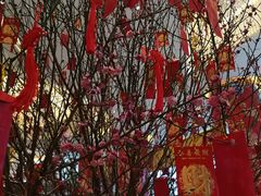 -怡咖啡自助餐(宁波香格里拉店)