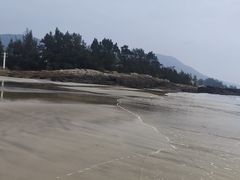 -广东惠东海龟国家级自然保护区