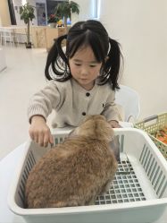 -Moni星球萌宠·小马宝莉·灵蛇·高端高阶全萌宠互动体验俱乐部(红豆国际广场店)