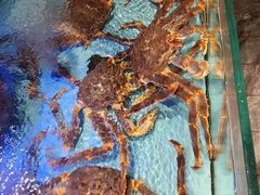 -阿伟海鲜楼·福建菜(延寿店)