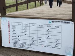 -盐城丹顶鹤湿地生态旅游区