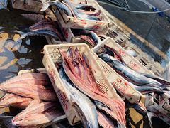 -青岛沙子口国家中心渔港