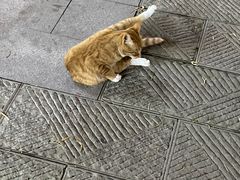 -成都雅诗阁来福士