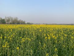 -汉长安城未央宫国家考古遗址公园