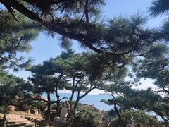 -八大关景区