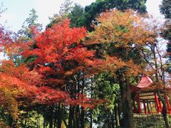 -庐山风景区花径公园