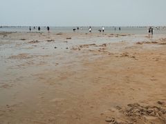 -刘家湾赶海园