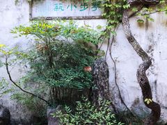 -留园