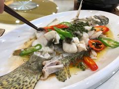 -寻味顺德·南记酒家·传统顺德菜·鱼生(广源路店)