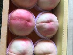 -田园东方蜜桃村的田野营地