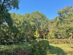 -WeLope紫金山探险公园