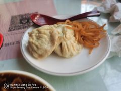 猪肉大葱包子-陈寔包子王·卤煮小肠·京味小吃(龙潭店)