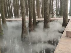 -东湖落雁景区