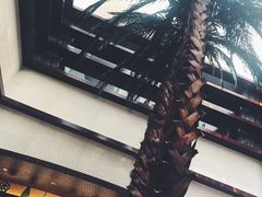 -喜来登酒店-盛宴标帜餐厅