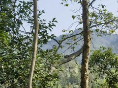 -天台山赤城山景区