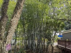 -林丰温泉度假山庄