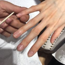 -BELLAREAL新美社