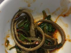 单品临江鳝丝-乐山第一家临江鳝丝(茶坊路店)