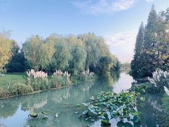 -昆山城市生态森林公园