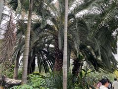 -祥源·阜阳生态乐园