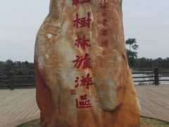 -东寨港红树林旅游区