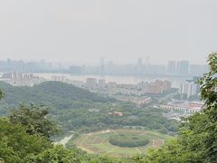 -八卦田遗址公园